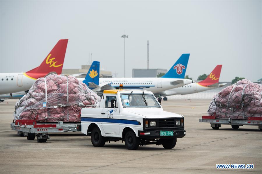 New Customs Practice in China Boosts B2B E-commerce Export