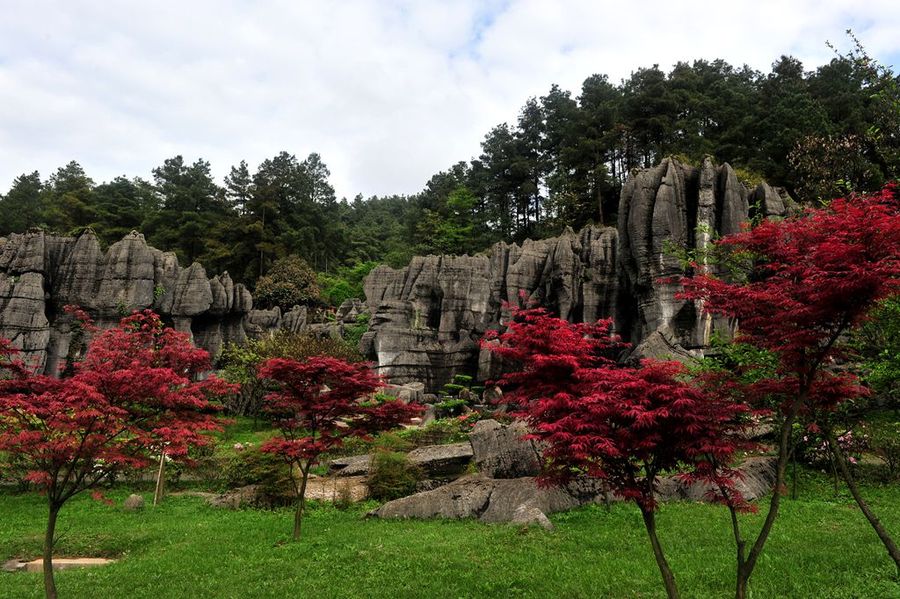 Wansheng Stone Forest, 